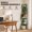 Sage Green, variant on 5-Tier S-Shaped Corner Shelf, Modern Freestanding Curved Display Rack, Space-Saving Corner Bookshelf Plant Stand for Living Room, Bedroom, Bathroom, Home Office
