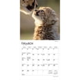 thumbnail image 3 of Baby Animals | 2026 7x14" (Hanging) Monthly Mini Wall Calendar | BrownTrout, 3 of 9