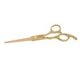 thumbnail image 1 of Ciseaux de Coupe de Cheveux, Cisailles de Coiffeur Professionnelles Ouverture Stable Roulements de Réglage Fin pour Salon de Coiffure pour Cheveux Secs, 1 of 8