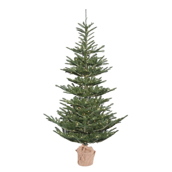 Vickerman 5' Alberta Spruce Artificial Christmas Tree, Clear Dura-lit Lights
