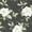Black, variant on Brewster Cressida Black Magnolia Trail Unpasted Non Woven Wallpaper, 20.5-in by 33-ft, 56.4 sq. ft.