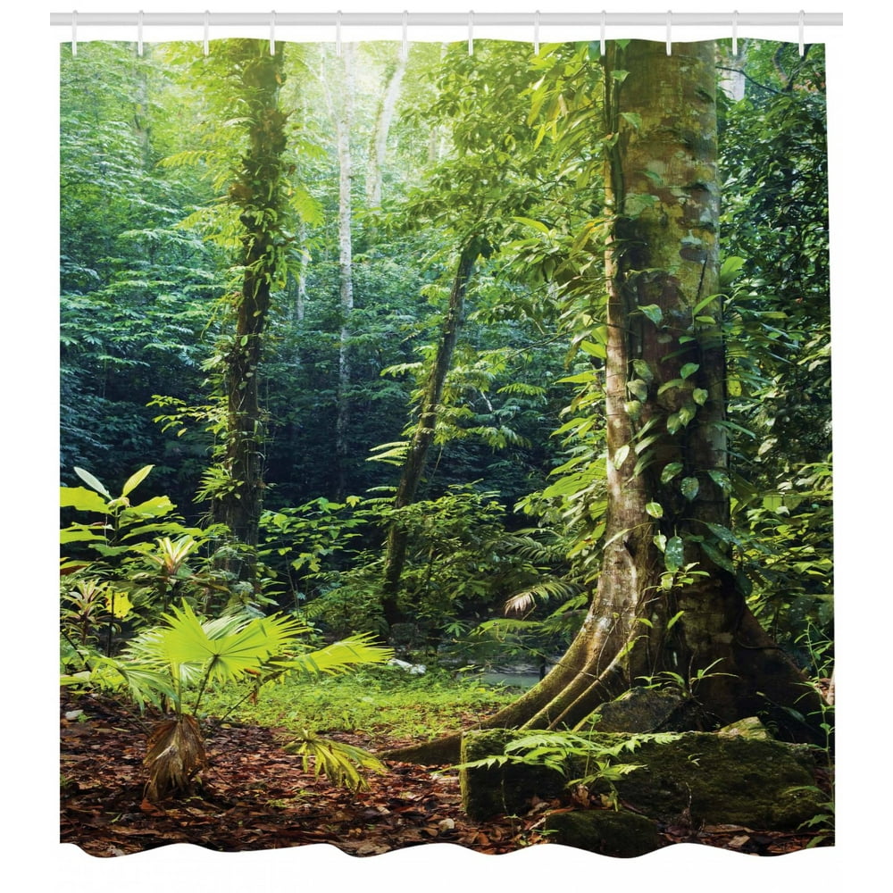 Rainforest Shower Curtain, Morning Sunbeam Through Wild Forest Ivy on