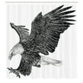 thumbnail image 3 of Ambesonne Animal Shower Curtain, Bald Eagle Swoop Sketchy, 69"Wx75"L, Black Pale Grey, 3 of 5