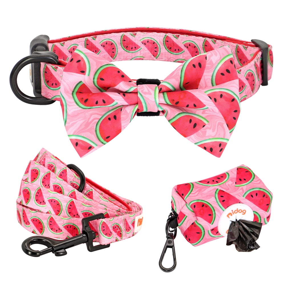 Didog Floral Cute Bowtie Dog Collar & Leash & Poop Bags Holder Adjustabale for Puppy
