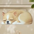 thumbnail image 4 of Hgallory Cute Dog Polyester Shower Bath Rug for Home Bathroom Toilet, Non-Slip Household Water Absorbent Quick Drying Floor Mats for Entrance Bedroom, Modern Home Decor, 1PC, 16"x34", A, 4 of 6