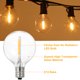 thumbnail image 3 of C230V Globe LEDs G40 Bombillas Lámpara 25PCS E12 Base Socket Holder IP44 Resistencia al agua caliente, 3 of 7