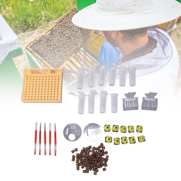 Kit d'Élevage Reine Abeille, Reine Abeille Élevage Boîte Reproductrice pour Apiculture