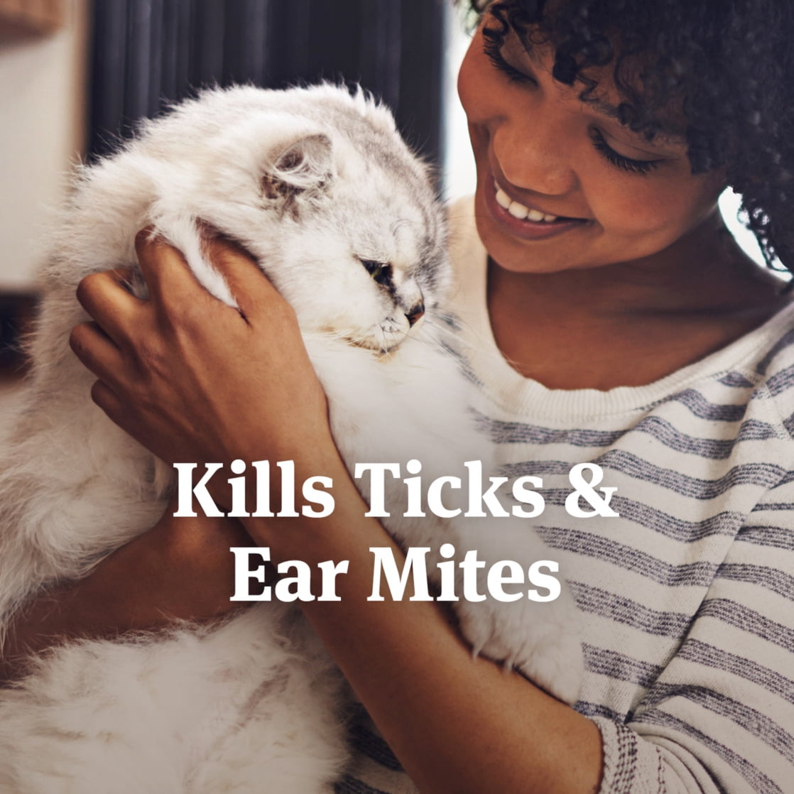 PETARMOR Ear Mite & Tick Treatment for Cats