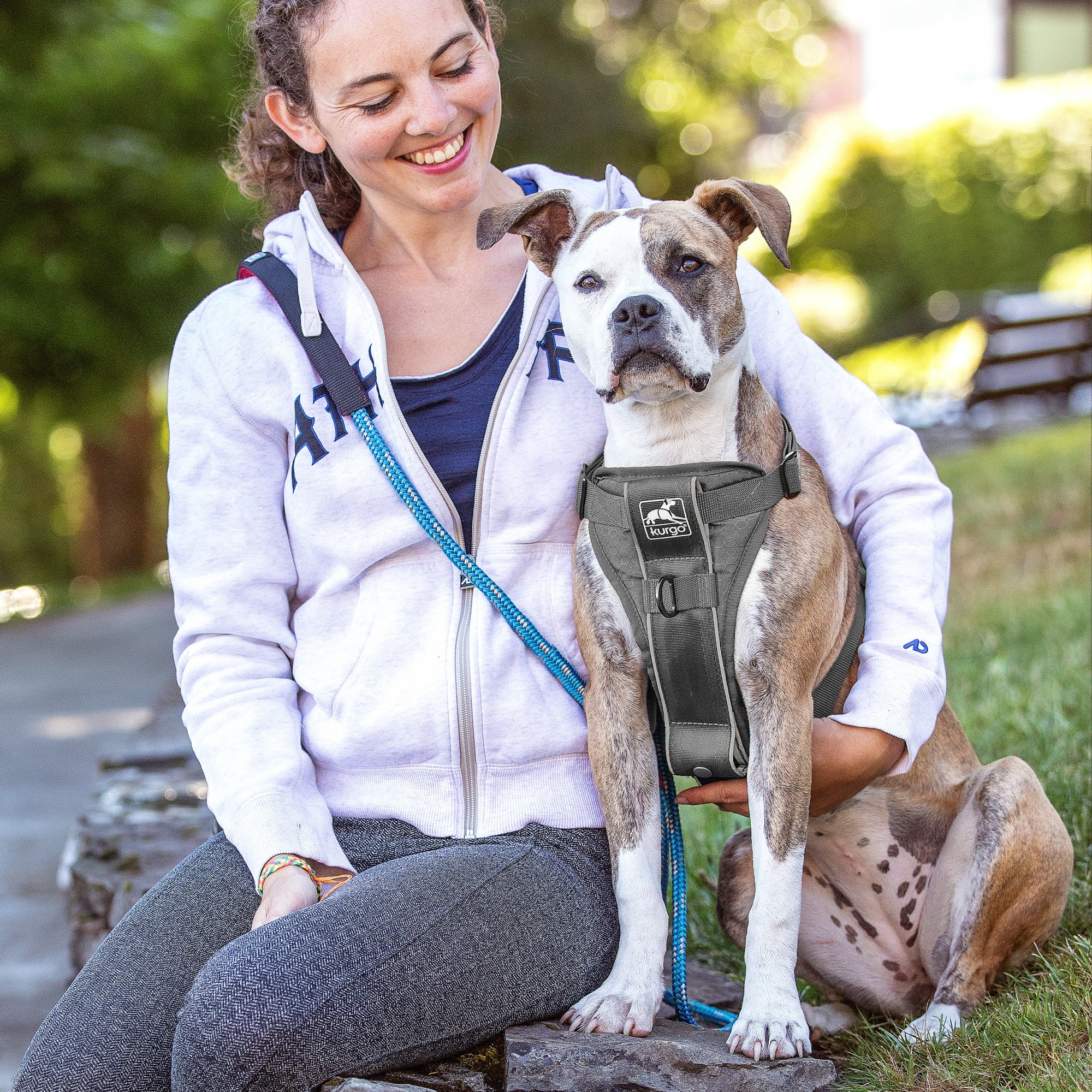 Kurgo Tru-Fit Smart Harness, Dog Harness, Pet Walking Harness, Quick Release Buckles, Front D-Ring for No Pull Training, Includes Dog Seat Belt Tether (Grey, Small)