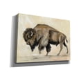 thumbnail image 2 of Epic Graffiti 'Bronze Buffalo' by Silvia Vassileva, Canvas Wall Art, 54"x40", 2 of 2