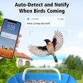 thumbnail image 6 of Smart Hummingbird Feeder with Camera Solar Panel, Auto Capture Bird Videos & Birdwatching Up-Close, 2 in 1 Feeders Attract More Hummingbirds, Ideal Gift for Christmas, 6 of 7