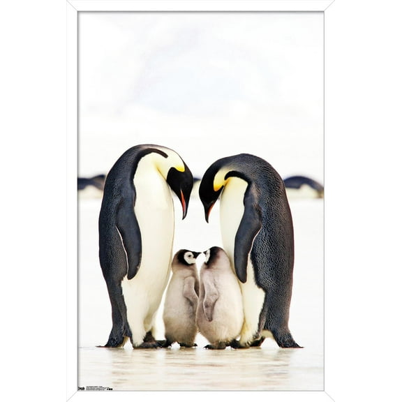A Group Of Emperor Penguins Wall Poster, 14.725" x 22.375", Framed