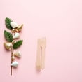 thumbnail image 4 of COMPUKAS 100Pcs Wooden Forks Beige -Friendly Lightweight for Parties Picnics Camping, 4 of 8