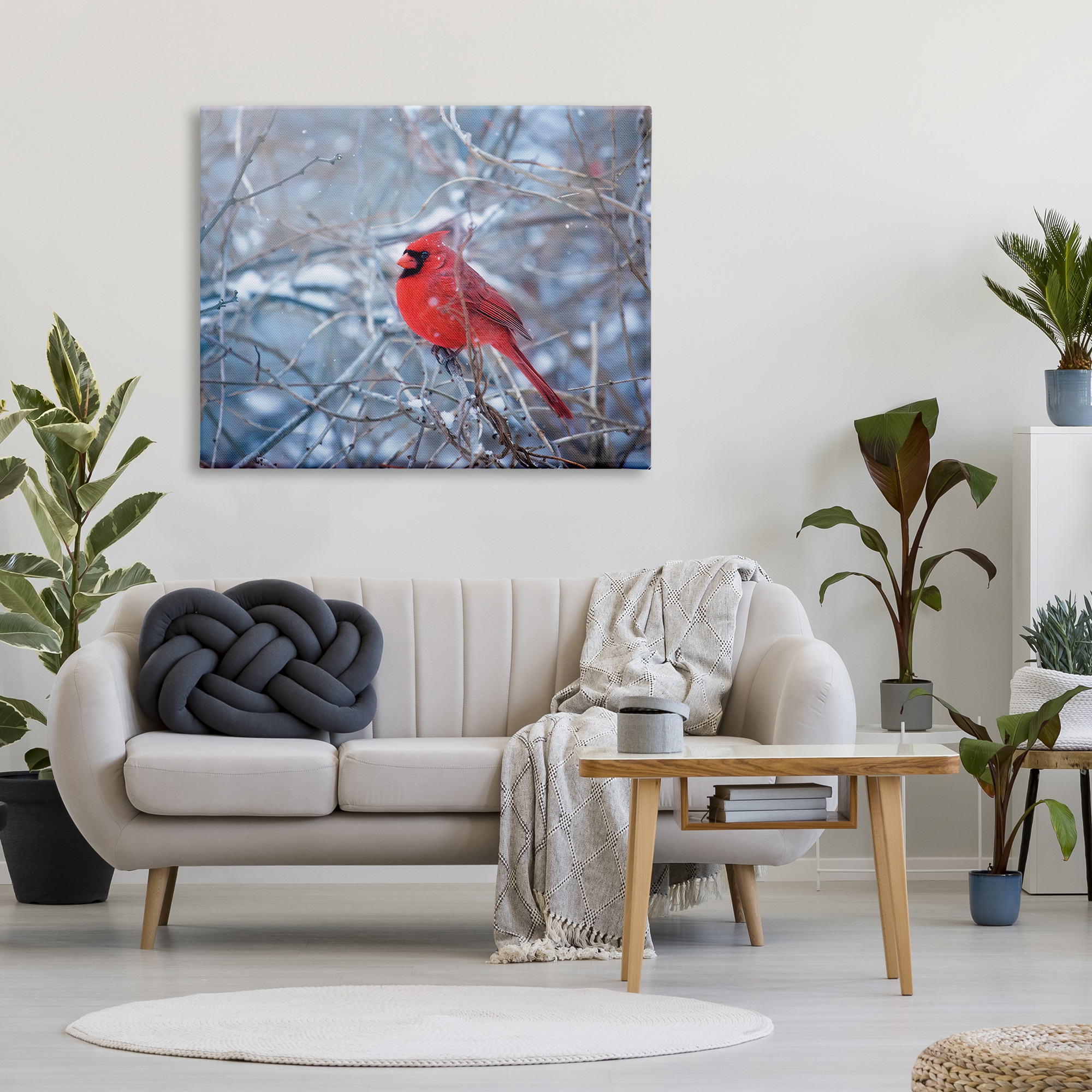 Stupell Industries Cardinal in Winter Branches Animals & Insects Photography Gallery Wrapped Canvas Print Wall Art, 48 x 36