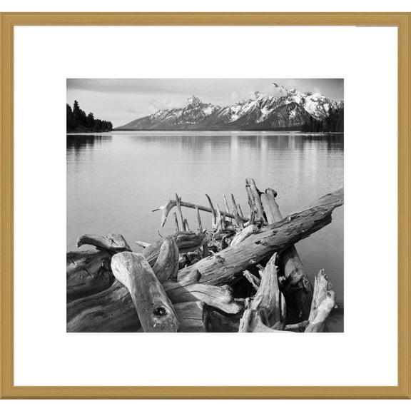Global Gallery , Ansel Adams 'Driftwood on shore of Jackson Lake, with Teton Range in background, Grand Teton Nationa