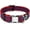 Red/Blue, variant on Regal Dog Products Dog Collar with Metal Buckle & D Ring - Fits Small, Medium, Large Dogs