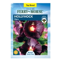 Ferry-Morse 430MG Hollyhock Nigra Perennial Flower Seeds, Full Sun