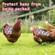 thumbnail image 3 of Fiudx Delantal para Gallinas, Funda Protectora para Alas, Correa Elástica Ajustable, Protector de Plumas, Elegante Diseño de Frutas, Reutilizable y Lavable, Tamaño 22 X 23 Cm, 3 of 6