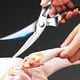 thumbnail image 2 of Tijeras para huesos de pollo Yuarrent de acero inoxidable cocina y Comedor, 2 of 6