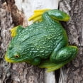 thumbnail image 4 of 1Pc Decorative Resin Frog Sculpture Statues Lawn indoor and outdoor Garden Decor, 4 of 8