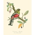 thumbnail image 3 of Curmer, L. 12x14 Black Modern Framed Museum Art Print Titled - Nature Jardin I, 3 of 5
