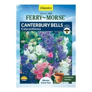 Ferry-Morse 110MG Canterbury Bells Calycanthema Perennial Flower Seeds Partial Shade
