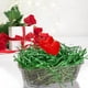 thumbnail image 2 of Hogar y jardín, Decoración del hogar, Hierba rafia de seda dorada brillante 100 g, Hierba rafia, 2 of 5