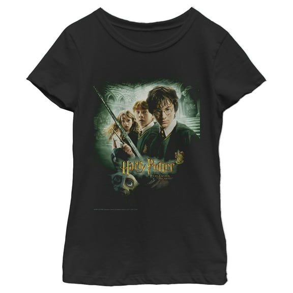Girl's Harry Potter Chamber of Secrets Poster  Graphic Tee Black Medium