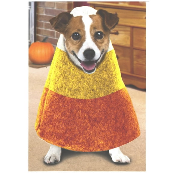 Recycled Paper Greetings Dog Wearing Candy Corn Costume Funny / Humorous Halloween Card