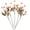 Dusty Pink, variant on 5Pcs Artificial Pompon Mum, Fake Kiku Flowers Silk Small Mini Chrysanthemum Ball Faux Mum Decor for Autumn Filler DIY Bouquet Centerpieces Arrangements Shower Bridal Bouquet Wedding