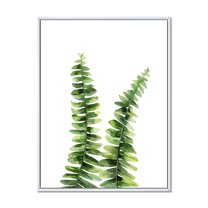 Designart 'Fern Plant Leaves Detail V' Tropical Framed Canvas Wall Art Print