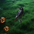 thumbnail image 7 of Halloween Crow Decorations - 12 Inch Outdoor Stake for Yard/Tree (Dual-Purpose Christmas & Spooky Season), 7 of 7