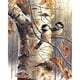 thumbnail image 1 of Resina cuadrada Serie Pajarito Diamante (ZQF2351) Hugtrwg Para estrenar, 1 of 9
