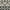 Beige/Grey, variant on SAFAVIEH Veranda Luwig Southwestern Indoor/Outdoor Area Rug, 5'3" x 7'7", Rust/Red