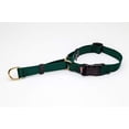 thumbnail image 1 of MPP Collier pour Chien Martingale de Luxe Ajustable en Laiton Lourd et Souple (Petit 14 à 18 Pouces, Vert Forêt), 1 of 1