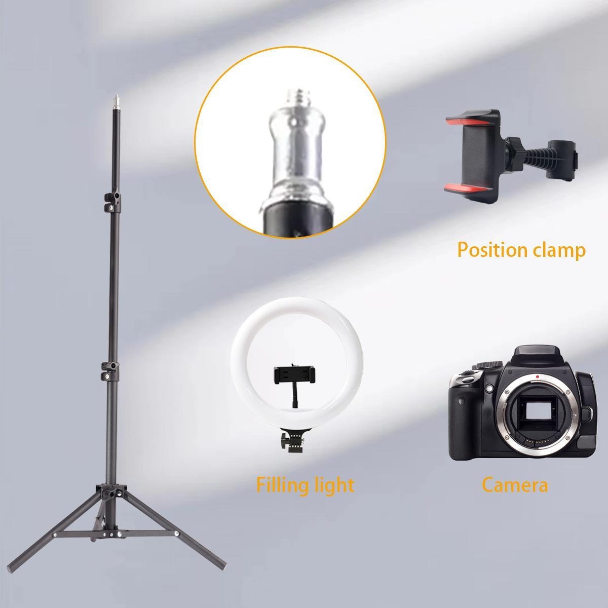 ZOMEI 10" Professional Circle Light with Adjustable Tripod Stand & Phone Holder, Essential for Makeup Artists, YouTube Videos, Computer Work, Vlogging, TikTok Live, Smartphone Photography, etc