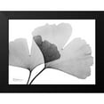 thumbnail image 2 of Koetsier, Albert 18x15 Black Modern Framed Museum Art Print Titled - Inverted Ginko 3, 2 of 5