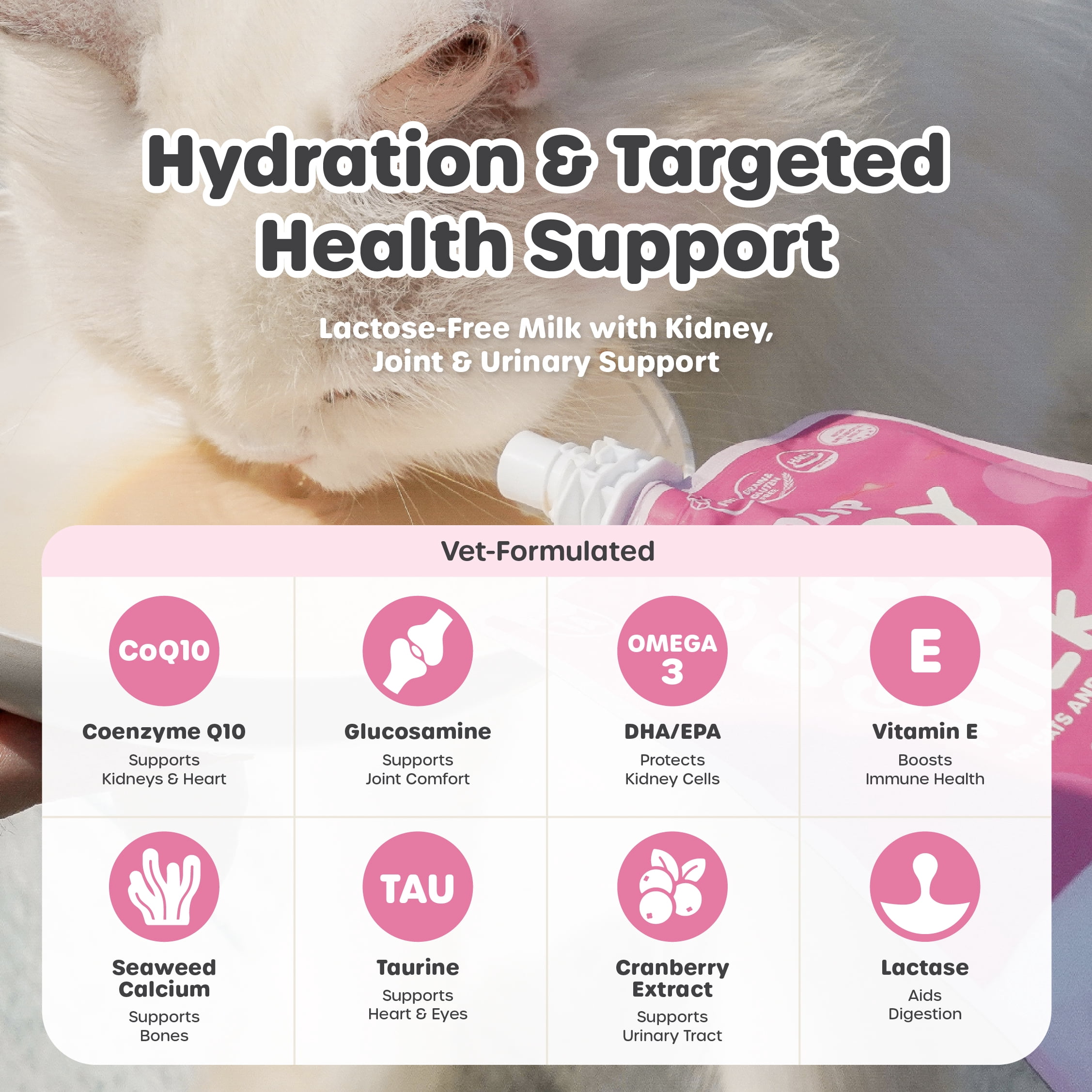 Choolip Berry Good Milk Lactose Free Vitamin Milk for Cats & Dogs, 67.6 fl oz (10 Pack)