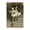 Serene Swans On Pond, variant on Stupell Industries Transitional Swans For A Swim Black Floating Frame Canvas Art, 17 x 25, by Petals Prints Design