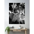thumbnail image 2 of Black And White Lion Taxidermy Photography Poster Wall Art, Modern Wall Decor, 12x18 UNFRAMED, 2 of 2