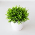 thumbnail image 2 of zhangmingg Bonsai Tree Miniature Potted for Home Desk and Living Room Interior Design, 2 of 5