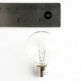thumbnail image 4 of G40 Clear String Lights with Green Wire, 4 of 8