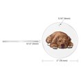 thumbnail image 3 of WIRESTER Large 3 inch Acrylic Ready to Hang Ornament, Hanging Ornaments for Christmas Tree Holidays Party Home Office Xmas Tree Decoration Gift - American Pit Bull Terrier Dog Lying Down Looking Up, 3 of 6