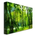 thumbnail image 3 of Trademark Fine Art "Forest Walk in Spring" Canvas Wall Art by Lois Bryan, 3 of 3