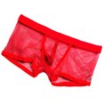 thumbnail image 1 of Calzoncillos transparentes para hombre Sunnimix malla Talla M L XL XXL, 1 of 5