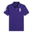 thumbnail image 1 of Short Sleeve Polo Shirt Men's Loose Plus Size Lapel Solid Color Cotton Embroidered Shirt, 1 of 3