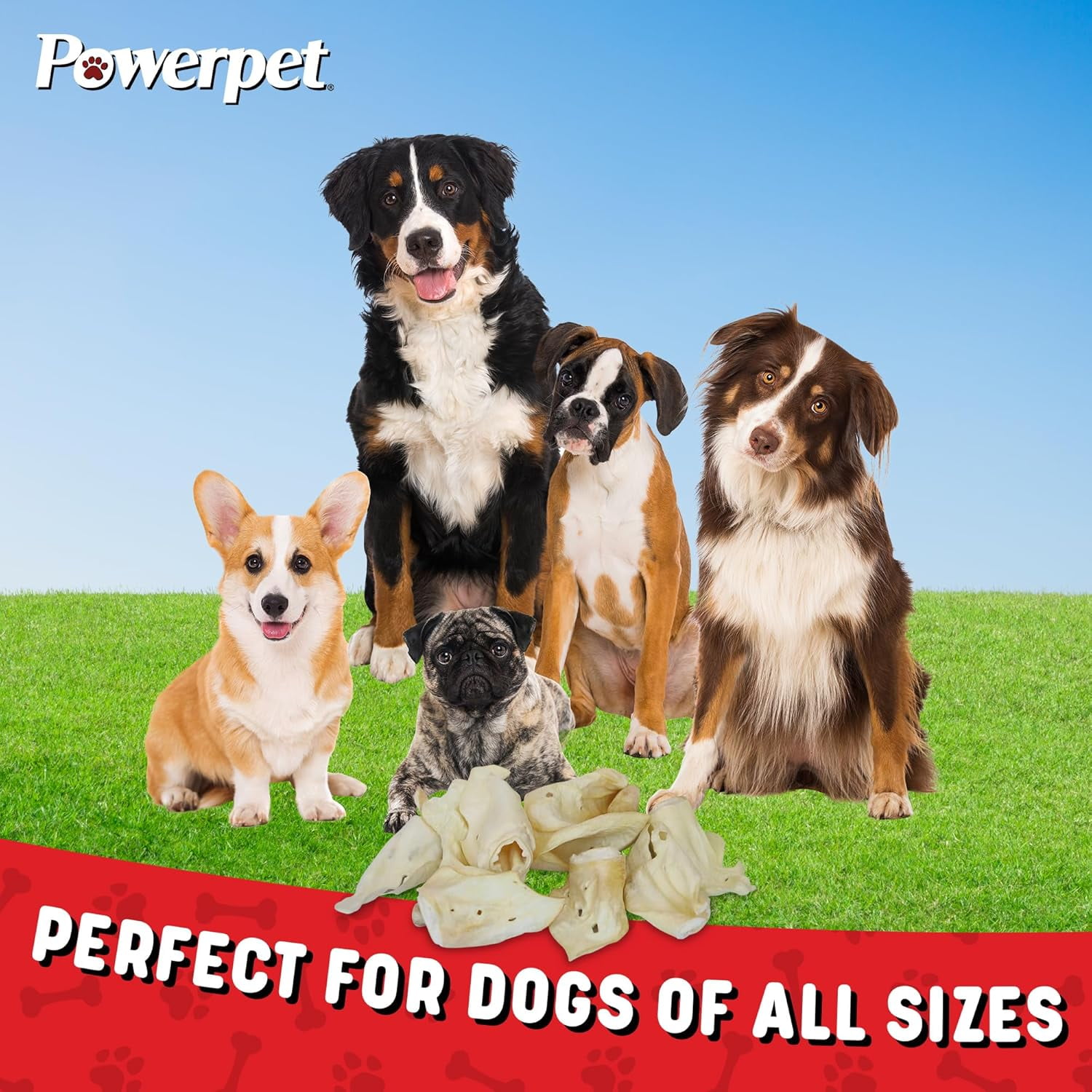 Powerpet Beef Ears, Dental Treats for Dogs - High Protein, Low Fat - 50 Pieces Bag