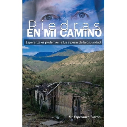 Piedras en mi Camino, (Paperback)