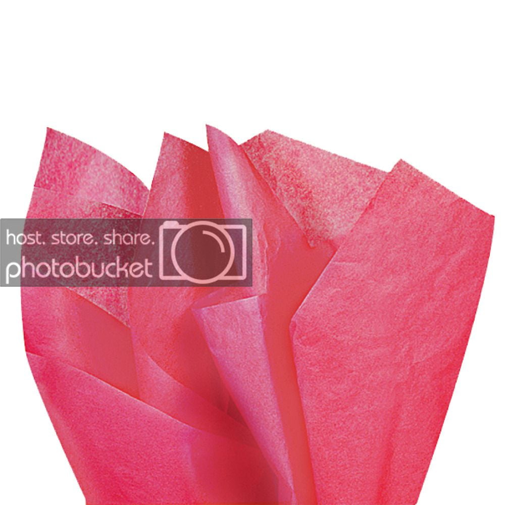 JAM Gift Bag Assortment, 2 White Bags & Fuchsia Pink Tissue Paper, 3/Pack