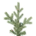 thumbnail image 2 of Vickerman K167597LED 14 ft. x 105 in. Princeston Fir Green Christmas Tree with 2400 Multi-Color Dura LED Light, 2 of 2